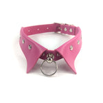 Collar Choker & Leash