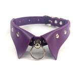 Collar Choker & Leash