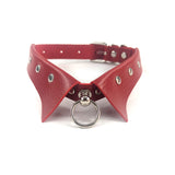 Collar Choker & Leash