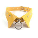 Collar Choker & Leash